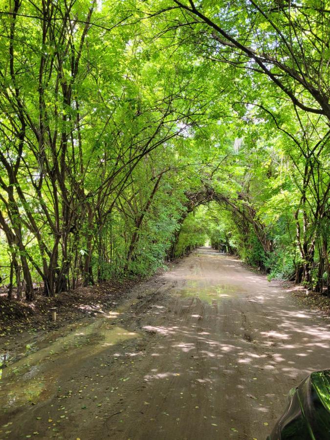 Vila Sol Chalés Pôrto de Pedras Esterno foto